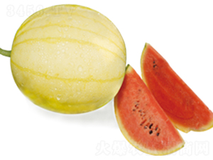 �S�P��-���ϷN��-ɽ�|��Դ