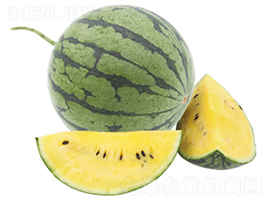 �G�P��-���ϷN��-ɽ�|��Դ