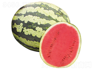 �츣��̖-���ϷN��-ɽ�|��Դ