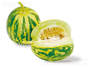 ���ٶ�̖-��ϷN��-ɽ�|��Դ