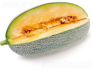 ����3̖-��ϷN��-ɽ�|��Դ