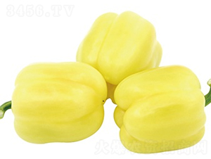 ����-�����N��-ɽ�|��Դ