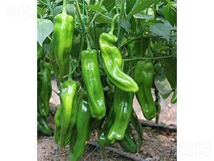 �G��23-�����N��-ɽ�|��Դ