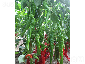 �G�]��̖-�����N��-ɽ�|��Դ