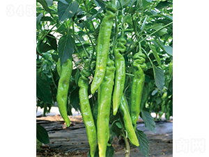 �G��111-�����N��-ɽ�|��Դ