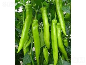 �G��656-�����N��-ɽ�|��Դ