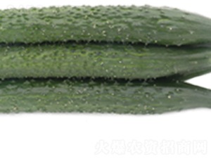 �G��6̖-�S�ϷN��-ɽ�|��Դ