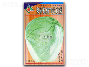 ���п���70��ײ�-��ײ˷N��-�Sԣ�r(n��ng)�I(y��)