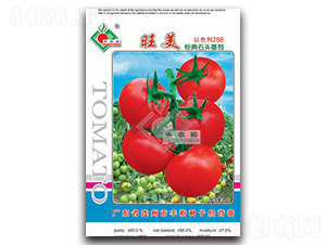 ����-���ѷN��-�Sԣ�r(n��ng)�I(y��)