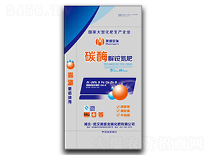 ̼ø���@����-��ʢ����