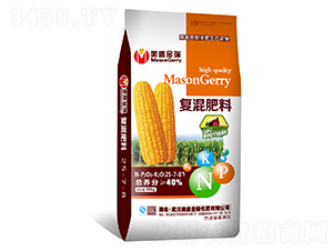 ���׌��Ï�(f��)�����25-7-8-��ʢ����