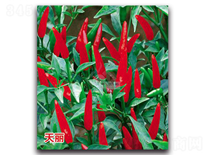 ����-���콷�N��-�Sԣ�r(n��ng)�I(y��)