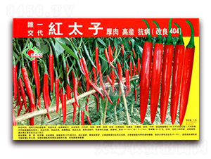 �t̫��-�t�⽷�N��-�Sԣ�r(n��ng)�I(y��)