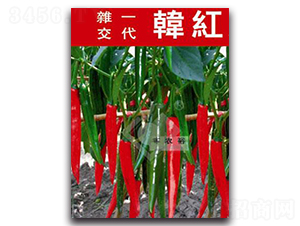 �n�t404-�t�⽷�N��-�Sԣ�r(n��ng)�I(y��)