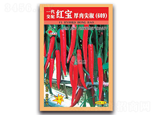 �t������⽷609-�t�⽷�N��-�Sԣ�r(n��ng)�I(y��)