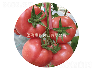 �ۼt̫����̖(h��o)-���ѷN��-�ݺͷN�I(y��)