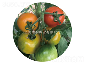 ��̫��-���ѷN��-�ݺͷN�I(y��)