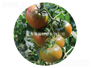 �ŵ���-���ѷN��-�ݺͷN�I(y��)