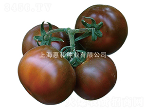 ��̫��-���ѷN��-�ݺͷN�I(y��)