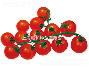 ����-С���ѷN��-�ݺͷN�I(y��)