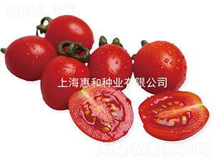 �t�x69-С���ѷN��-�ݺͷN�I(y��)