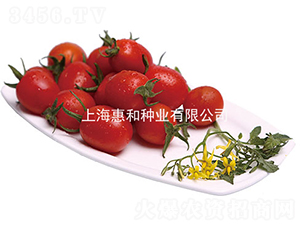 �ټt-С���ѷN��-�ݺͷN�I(y��)