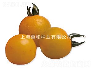 �S�ڶ�̖(h��o)-С���ѷN��-�ݺͷN�I(y��)