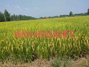 ����88-ˮ���N��-�����r(n��ng)�I(y��)