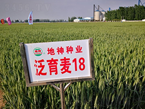 ������18-С���N��-����N�I(y��)