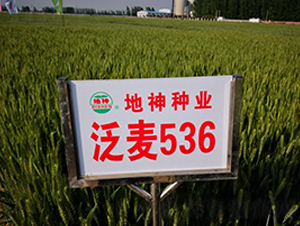 ����536-С���N��-����N�I(y��)