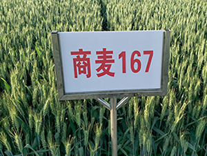 ����176-С���N��-����N�I(y��)