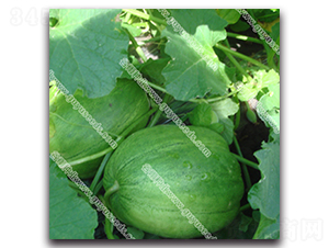 ������̖���-��ϷN��-����N�I(y��)