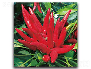 ����1016����-�����N��-����N�I(y��)