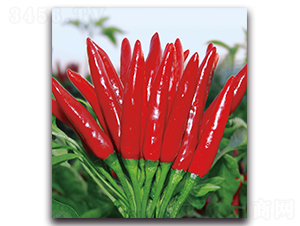 ����1012����-�����N��-����N�I(y��)