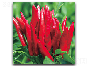 ����1010����-�����N��-����N�I(y��)