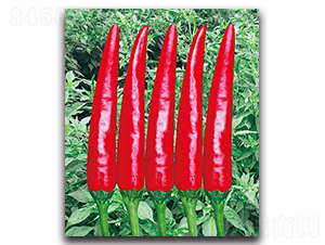 ����1017����-�����N��-����N�I(y��)