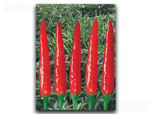 ����1011����-�����N��-����N�I(y��)