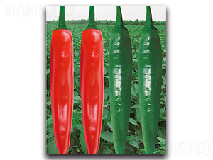 ����2062����-�����N��-����N�I(y��)