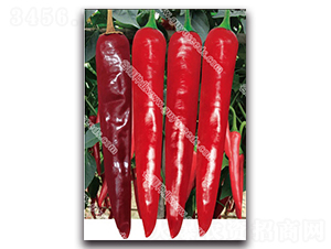 ����2061����-�����N��-����N�I(y��)