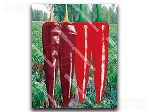 ����2060����-�����N��-����N�I(y��)