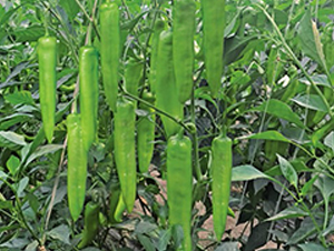 ���N9092����-�����N��-����N�I(y��)