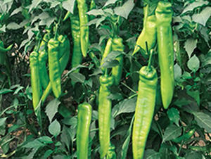 ���N8071����-�����N��-����N�I(y��)