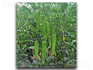 ���N7100����-�����N��-����N�I(y��)