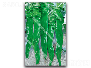 ���D7050����-�����N��-����N�I(y��)