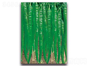 ����3032����-�����N��-����N�I(y��)