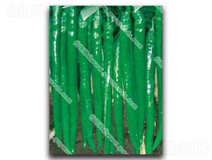 ����3030����-�����N��-����N�I(y��)