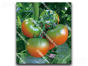 �������۶�̖-���ѷN��-����N�I(y��)