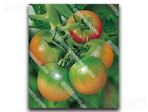 ��������һ̖-���ѷN��-����N�I(y��)