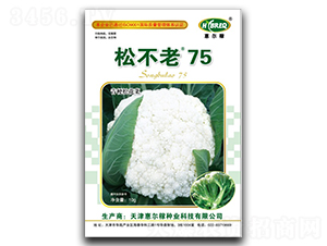 �ɲ���75-�ɻ��˷N��-�ݠ���