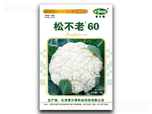 �ɲ���60-�ɻ��˷N��-�ݠ���